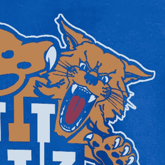 90s University Of Kentucky Wildcats shirt 90s vintage tee - Picture 3 of 3